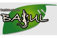 Logo for Bajul Logo for Bajul