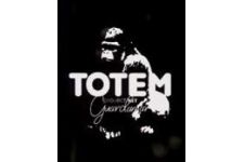 Logo for Totem Logo for Totem
